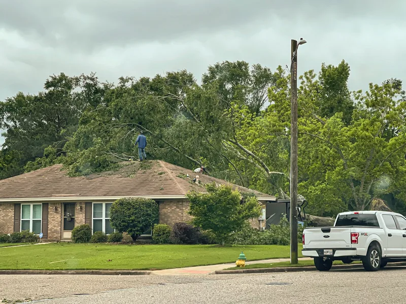 A large tree fallen across the roof of a brick bungalow after a storm, with a crew already up on the shingles assessing the damage