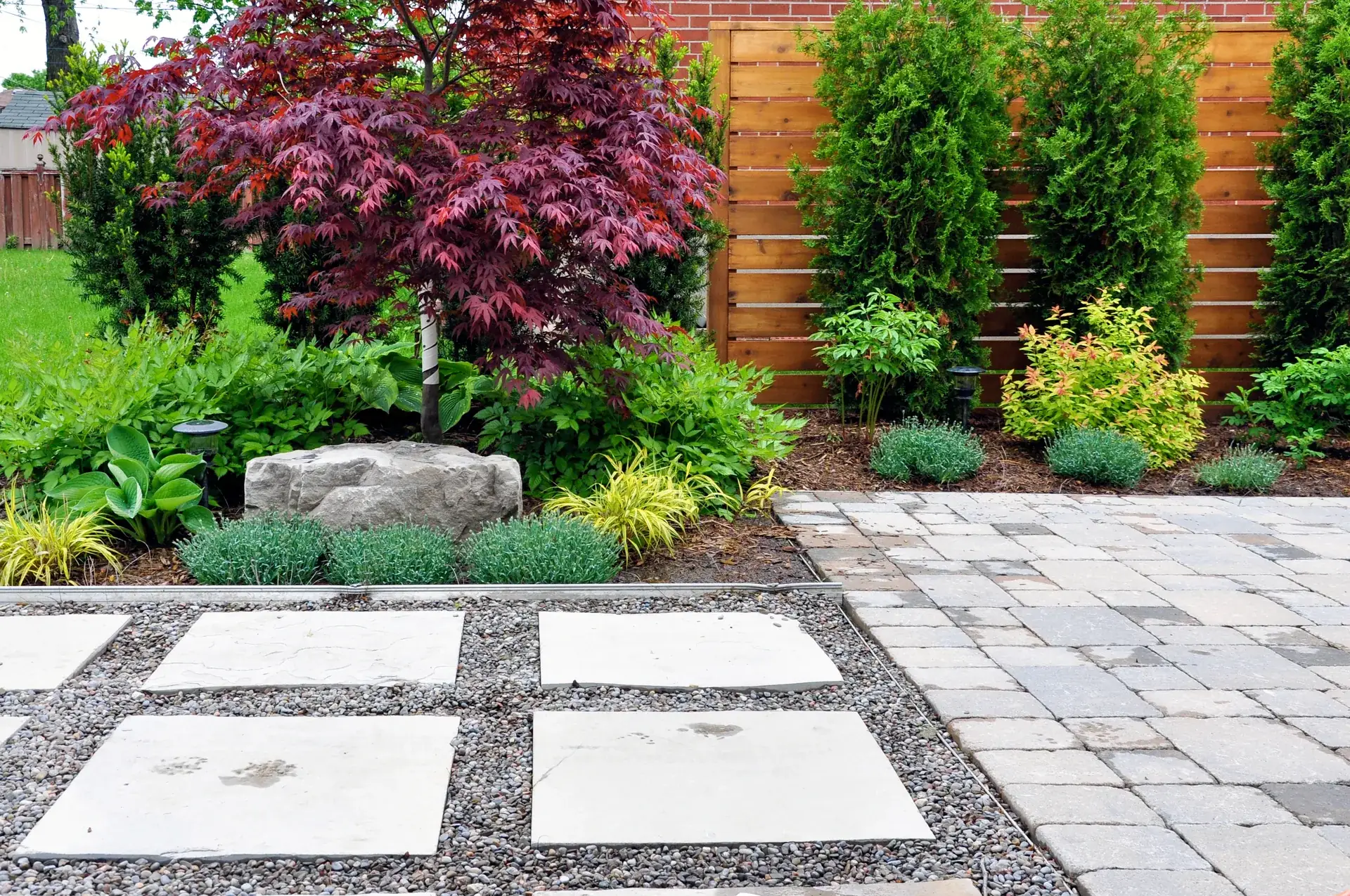 Walled courtyard with a crimson Japanese maple, horizontal cedar screen and square concrete steppers set in gravel