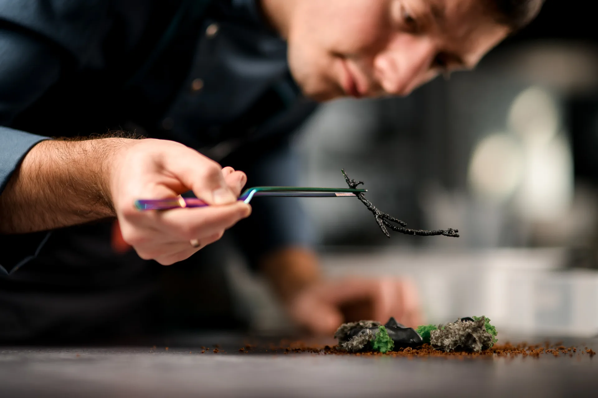 A Brassica cook bent low over the pass in the dark kitchen, placing a garnish with tweezers on the night's first course